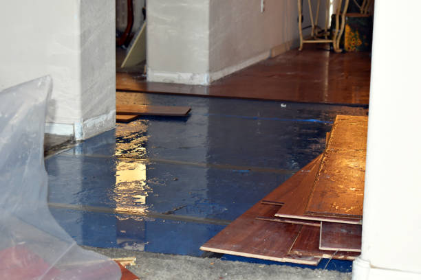 Professional Basement Flood Cleanup technician working in Goodman, MO